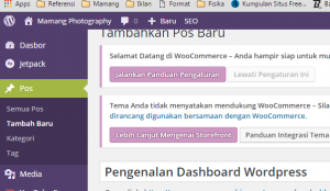 Tampilan WordPress