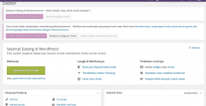 Tampilan WordPress