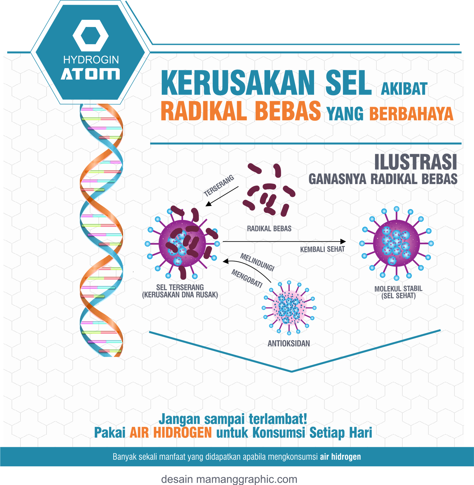 Kerusakan Sel Akibat Radikal Bebas Mamang Graphic 8365